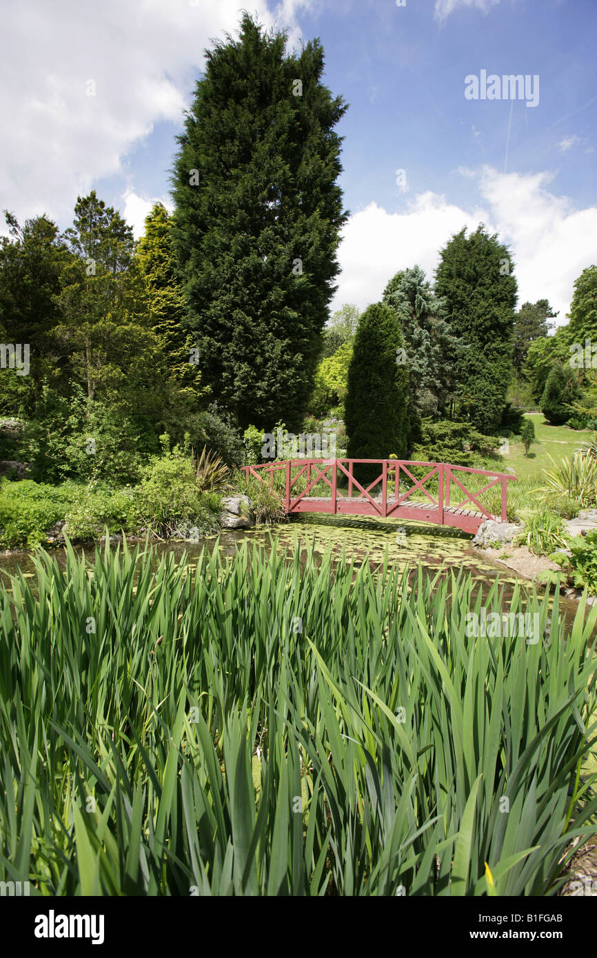 Città di Preston, Inghilterra. Il ponte sopra la cascata e laghetto in giardino giapponese in Preston Avenham del parco. Foto Stock