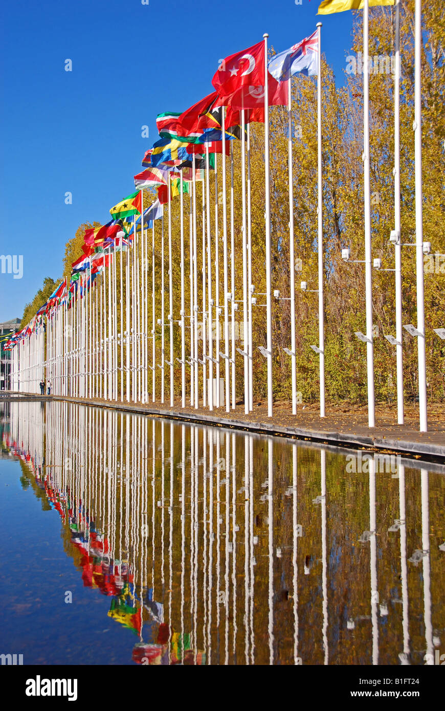 Bandiere del mondo specchiato in acqua ancora Foto Stock