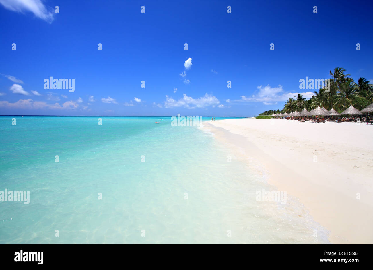 Esotica spiaggia sotto un cielo blu Foto Stock