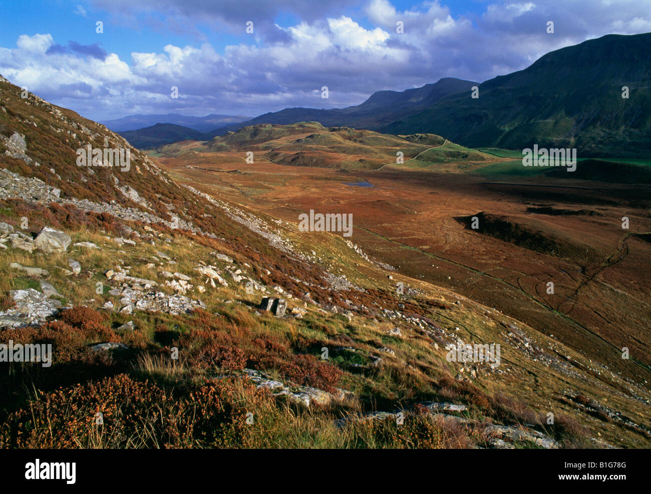 Il paesaggio del lago Cregennan Snowdonia Foto Stock