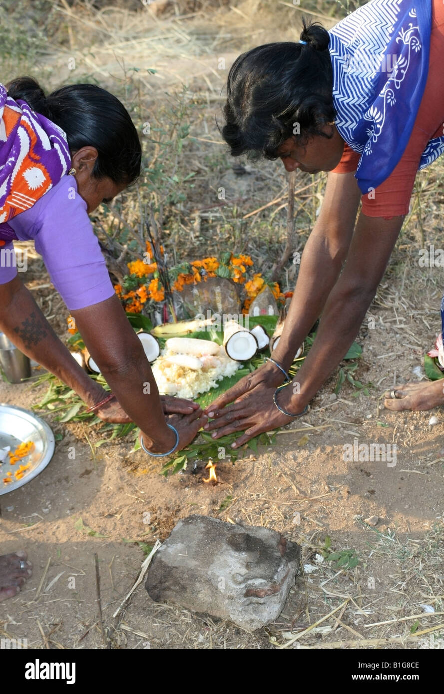 Famiglia di agricoltori nelle zone rurali del Tamil Nadu eseguire Pongal pooja in un campo per ringraziare Dio del sole Surya per il raccolto , India Foto Stock