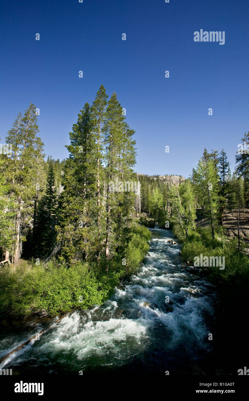 San Joaquin River Sierra Nevada Devils Postpile National Monument Foto Stock