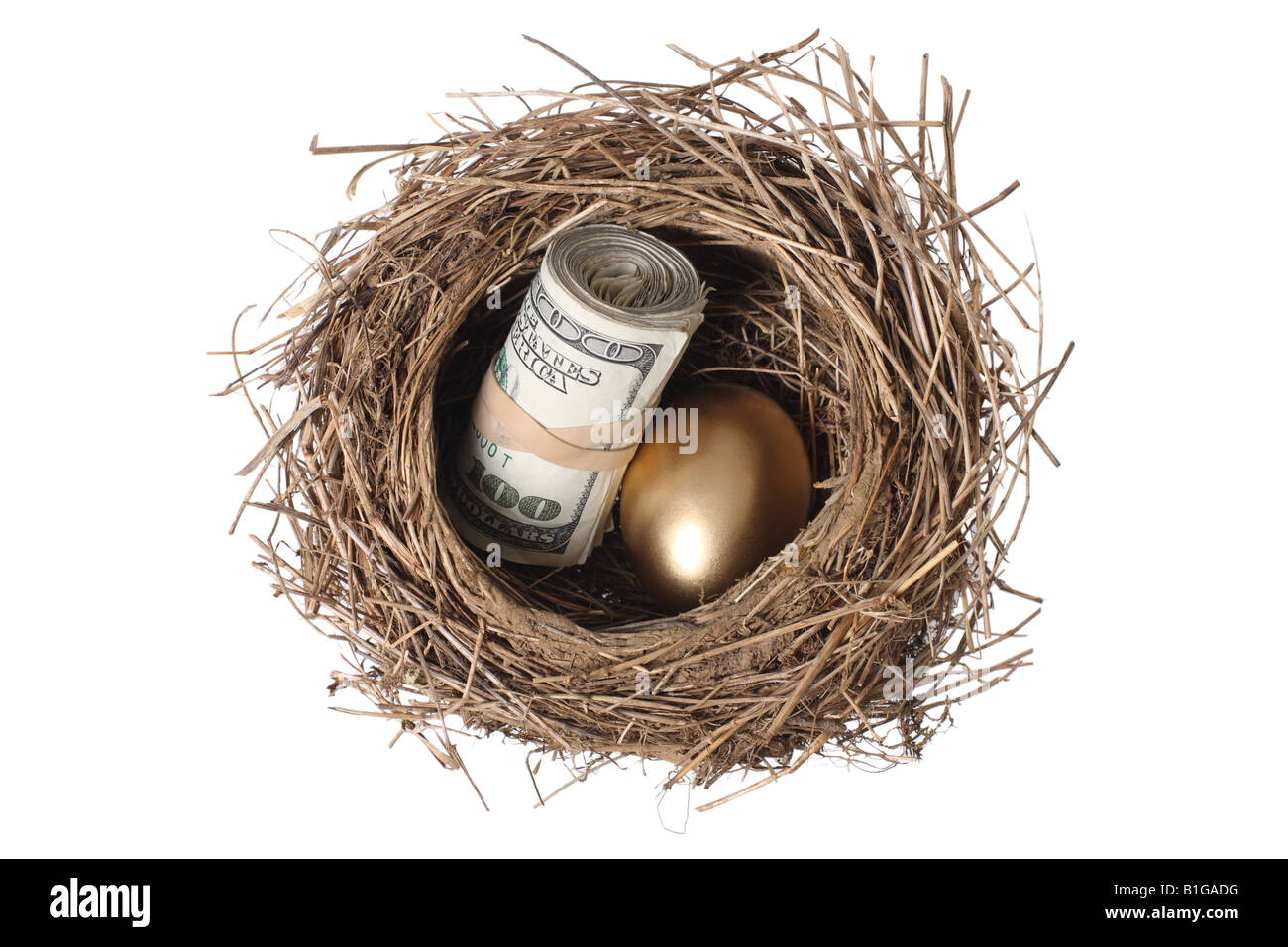 Nido con Golden Egg e denaro ritagliata su sfondo bianco Foto Stock