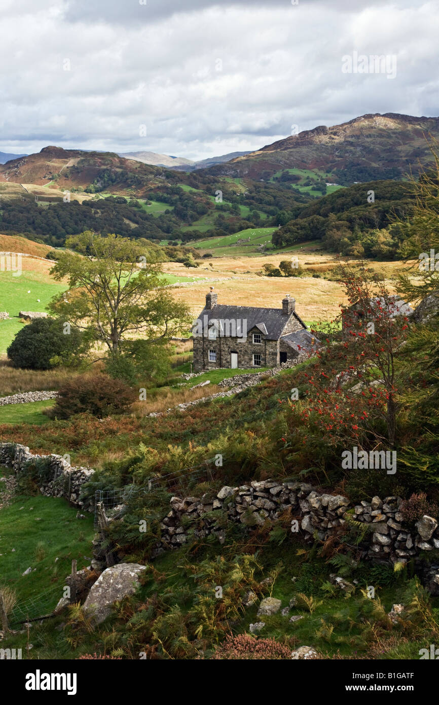 Agriturismo nei pressi di laghi Cregennan Snowdonia Foto Stock