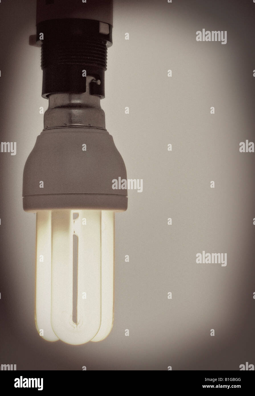 Lampadine a risparmio energetico Foto Stock