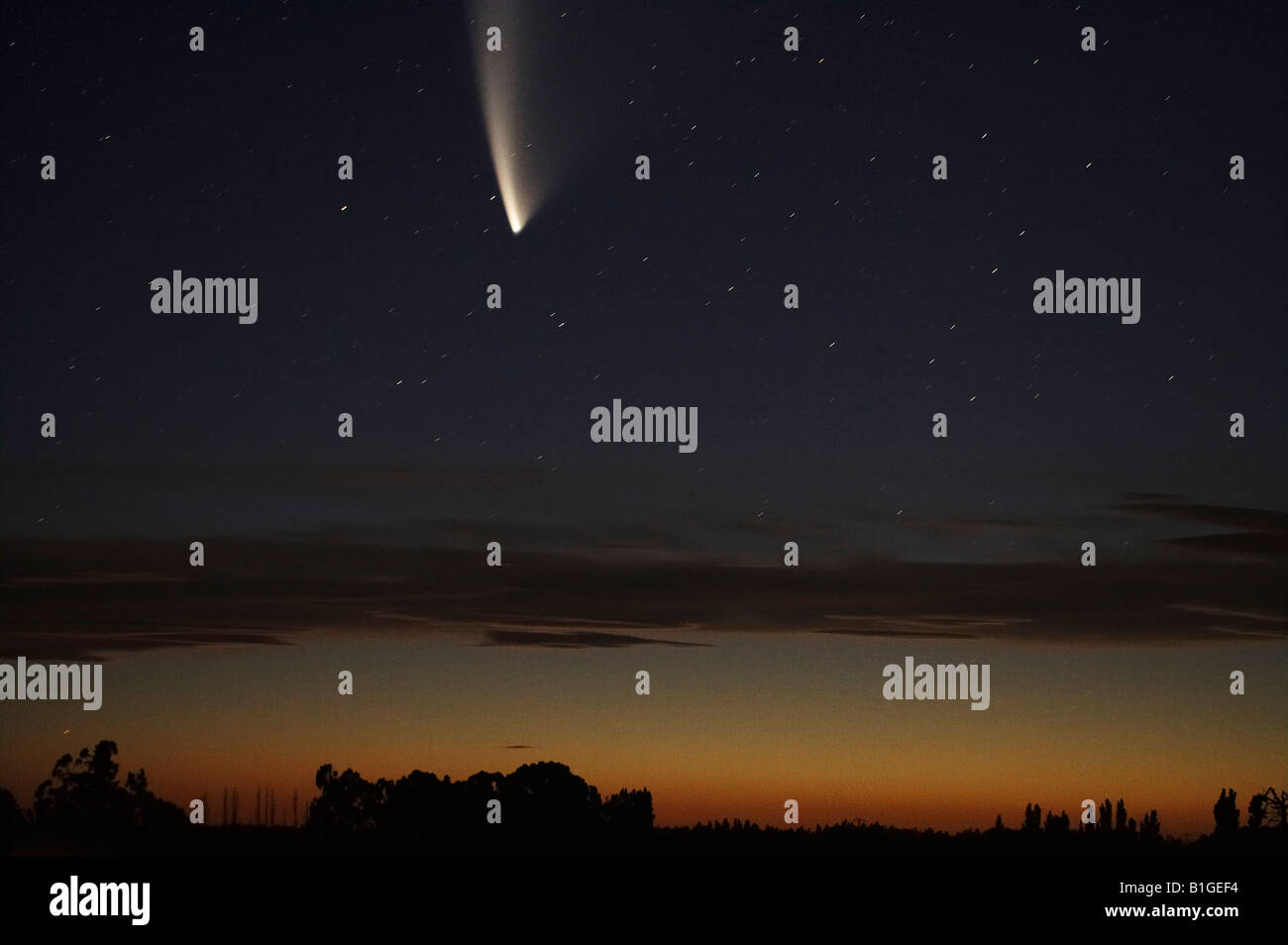 La cometa McNaught Ashburton Isola del Sud della Nuova Zelanda Foto Stock
