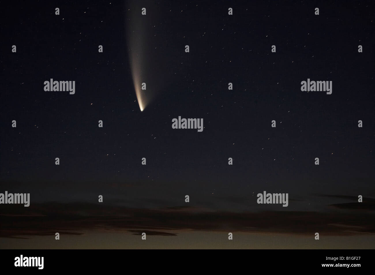 La cometa McNaught Ashburton Isola del Sud della Nuova Zelanda Foto Stock