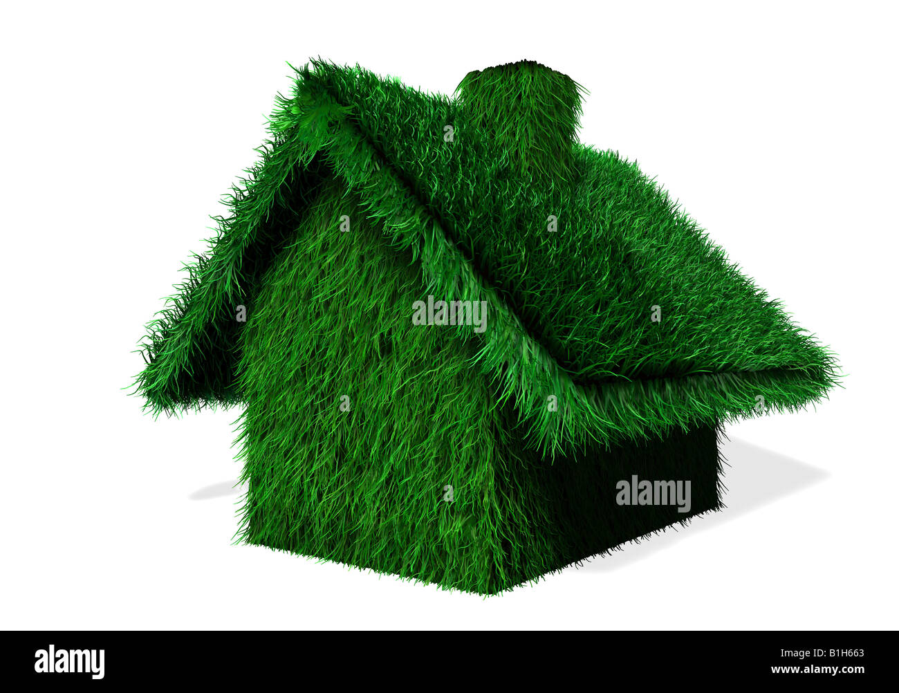 Ricoperto di erba house Foto Stock