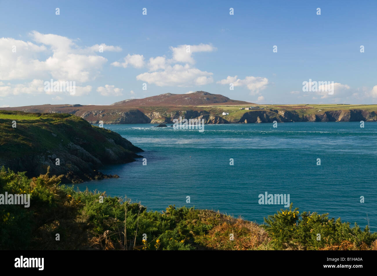 Vista su Ramsey isola St Davids Pembrokeshire Wales Foto Stock