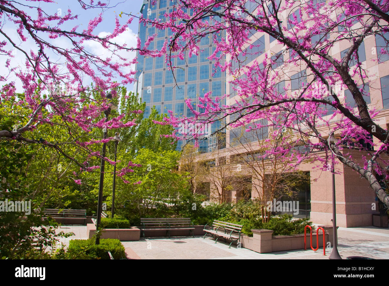 Gallivan Centro parco urbano nel centro di Salt Lake City USA Utah Foto Stock