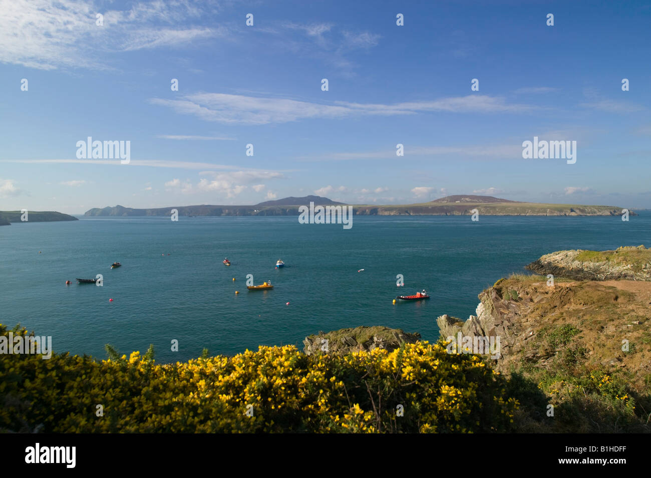 Vista su Ramsey isola St Davids Pembrokeshire Wales Foto Stock
