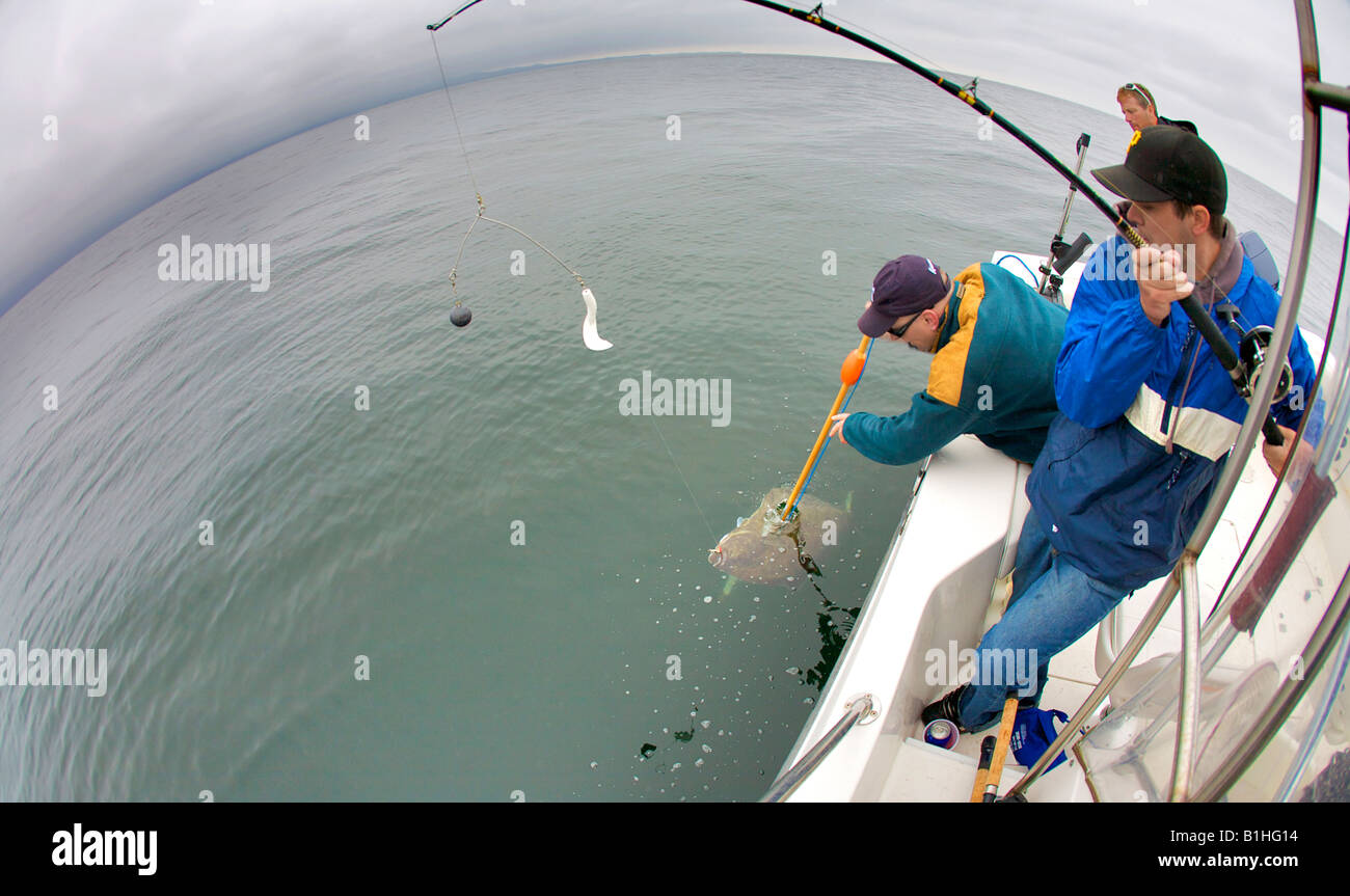 Pesca Halibut della costa ovest dell'isola di Vancouver Foto Stock