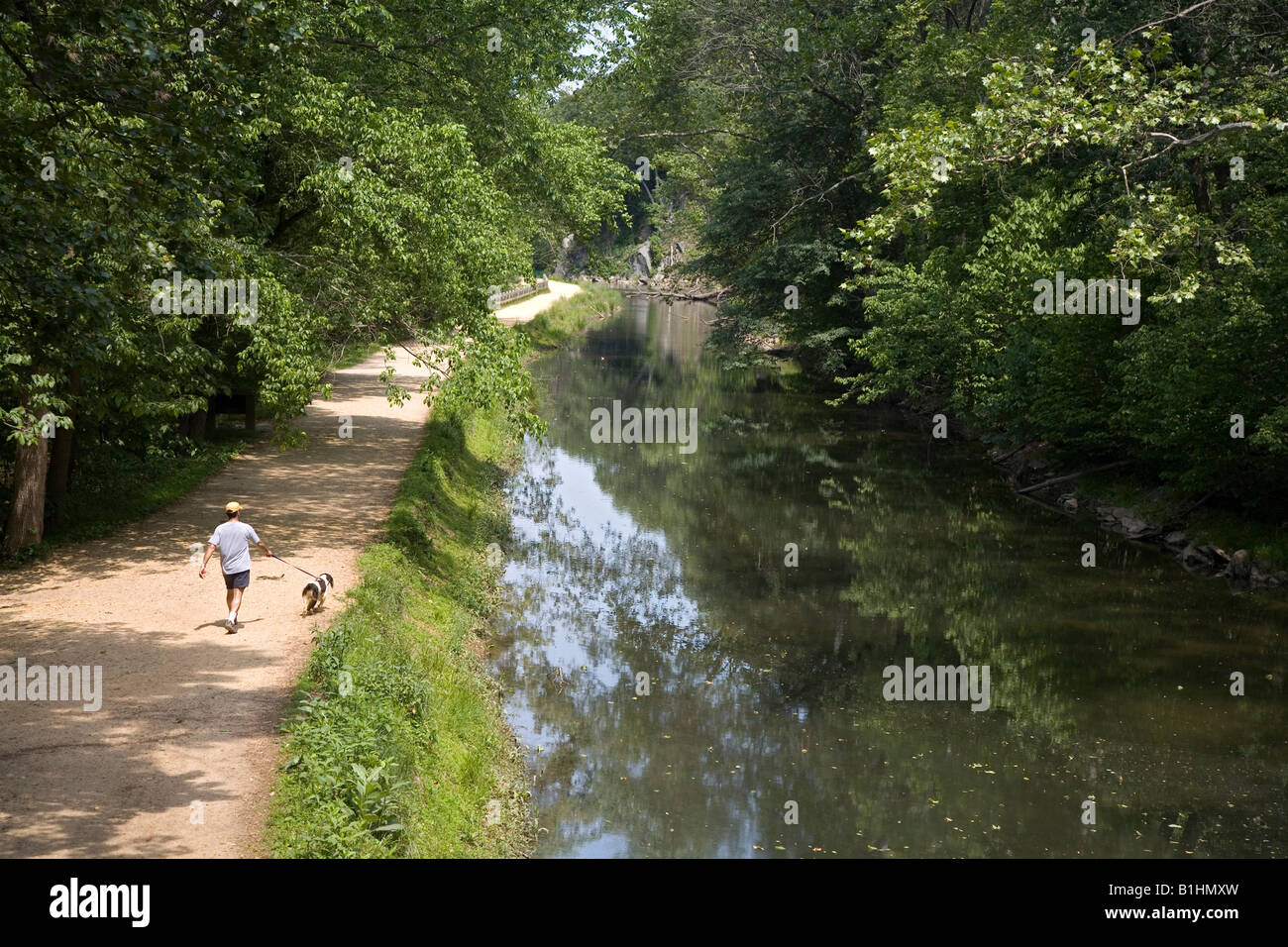 L'uomo cammina cane sul C E O Canal alzaia Foto Stock