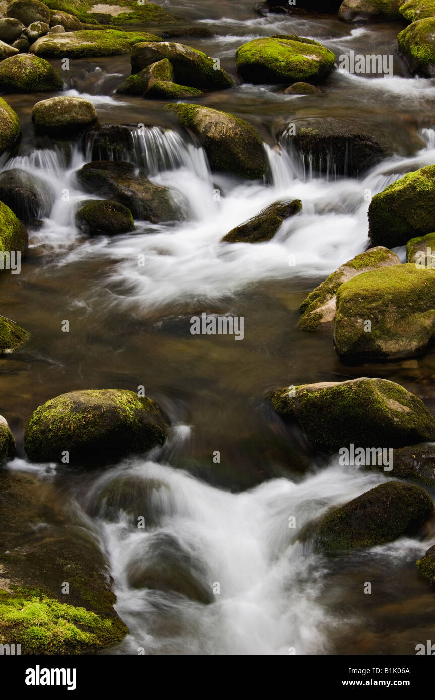 Cascate sul Roaring Fork Creek Parco Nazionale di Great Smoky Mountains Tennessee Foto Stock