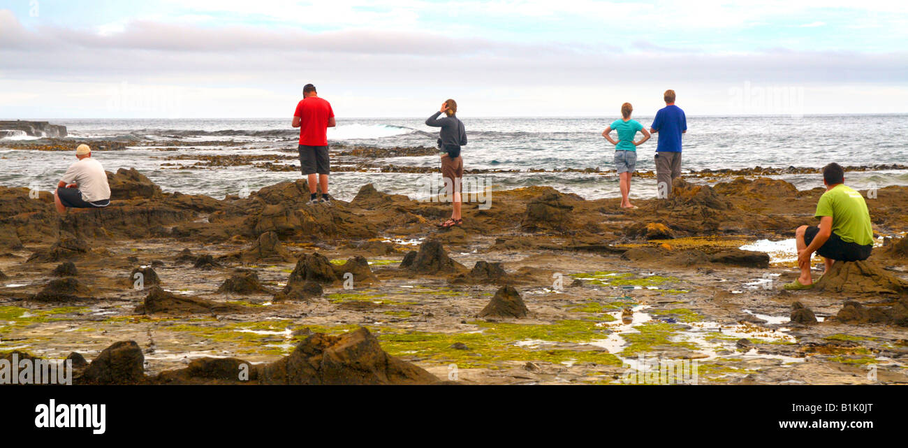 Curio Bay, Caitlins, Nuova Zelanda, Australasia Foto Stock