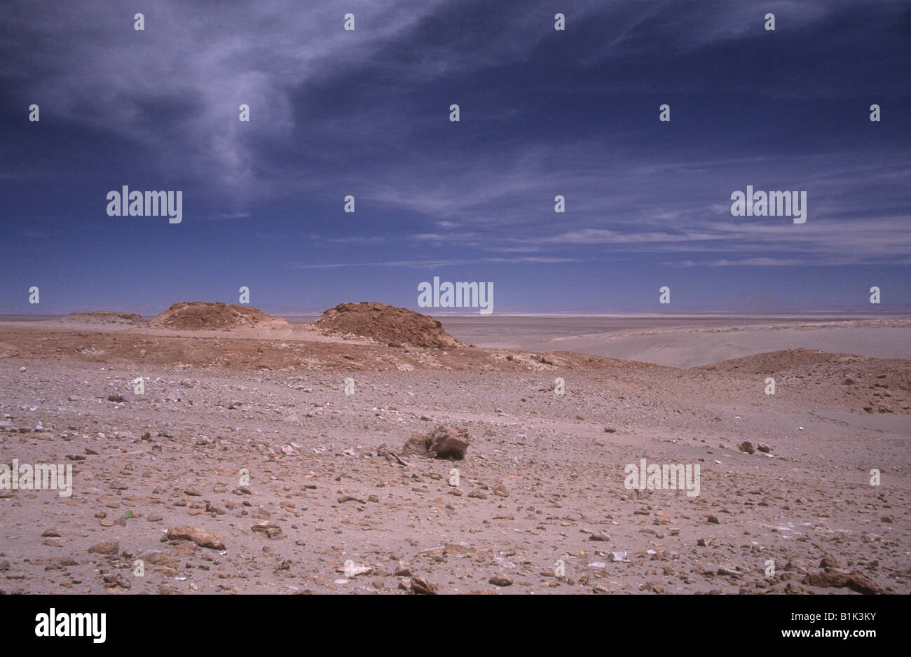 Arido paesaggio desertico nella Valle de Jere / Valle di Jere vicino a Toconao, vicino a San Pedro de Atacama, Cile Foto Stock