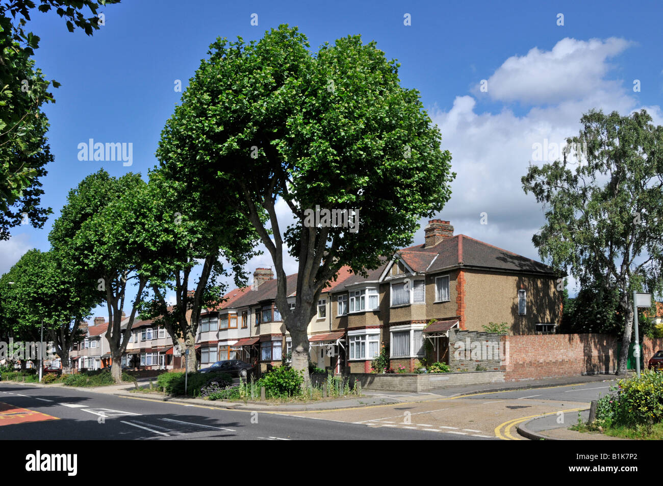 Strada di case semi-indipendenti sovrastate da alberi molto alti lungo la strada possibilità di danni radicali alle fondamenta Romford Greater London Borough UK Foto Stock