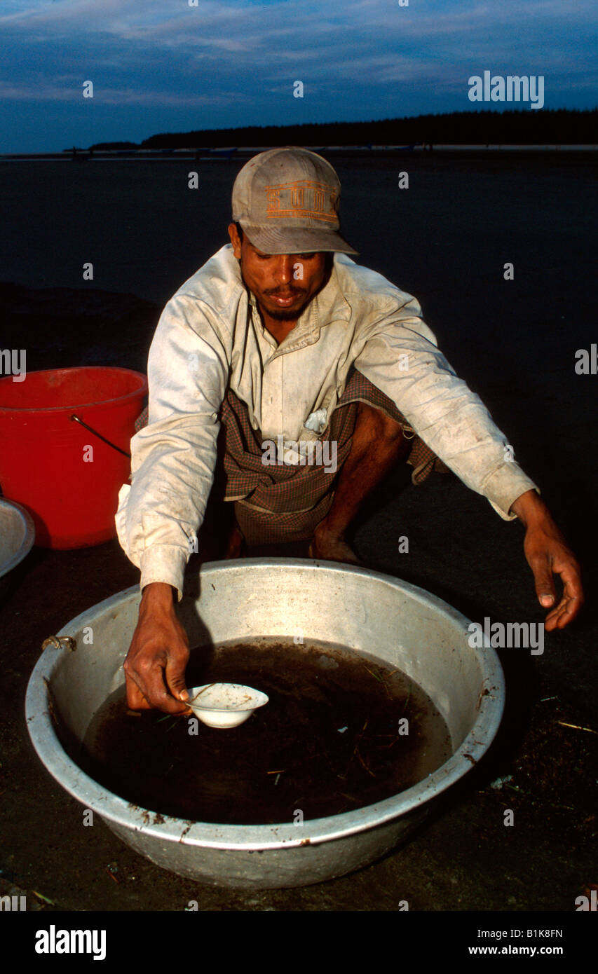 Pescatore in cerca di larve di gamberi di allevamento di gamberetti Cox s Bazaar beach Bangladesh Foto Stock