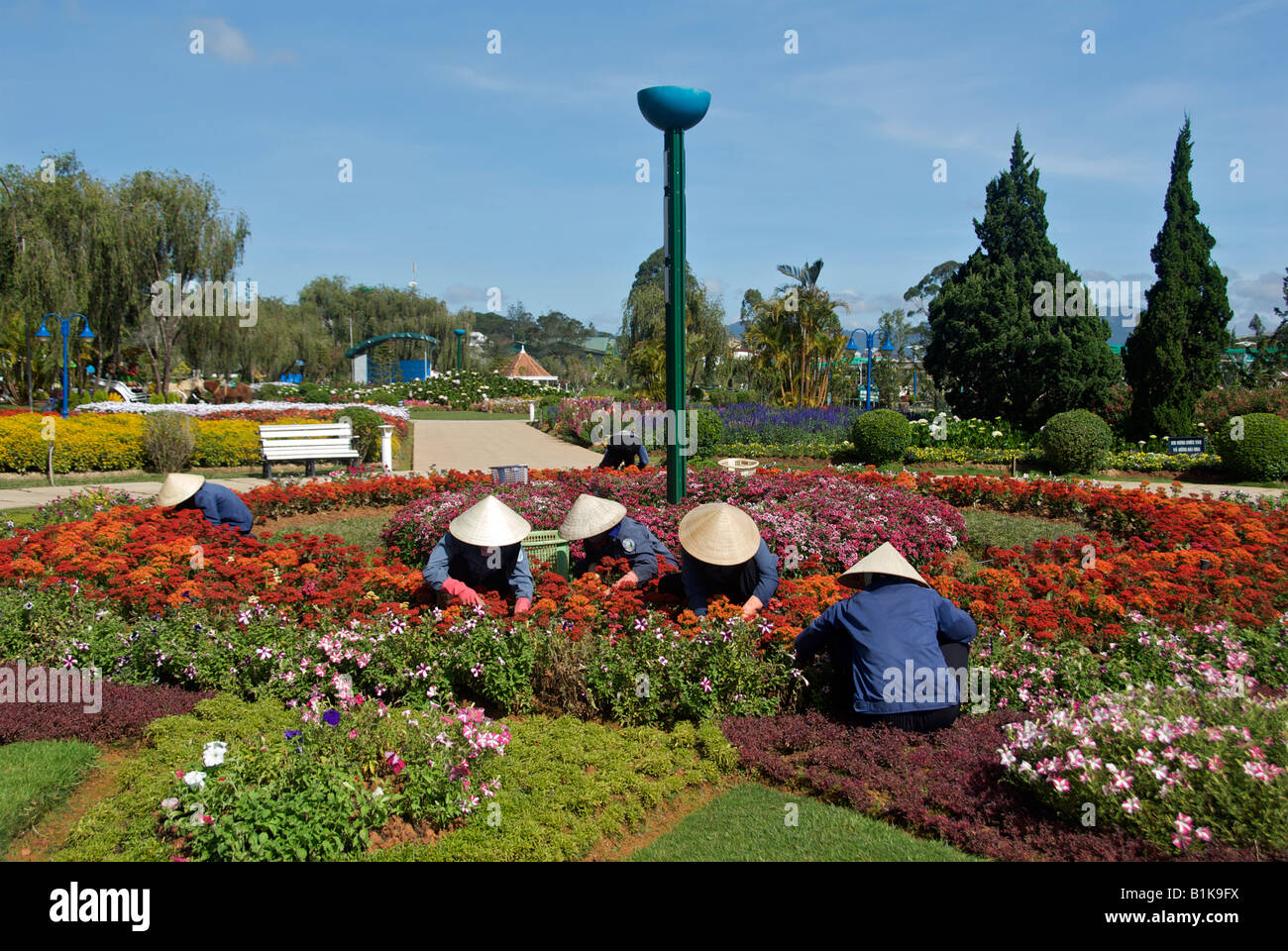 Dalat giardini di fiori Dalat Vietnam Foto Stock