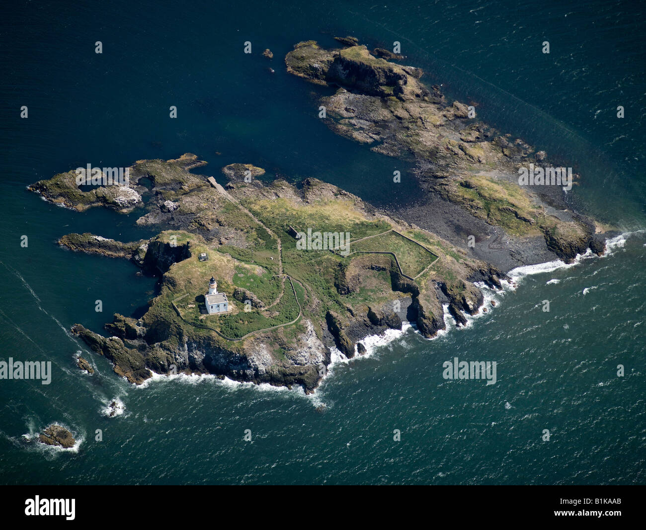 Isola di Fidra, nel Firth of Forth, Lothian, Scozia Foto Stock