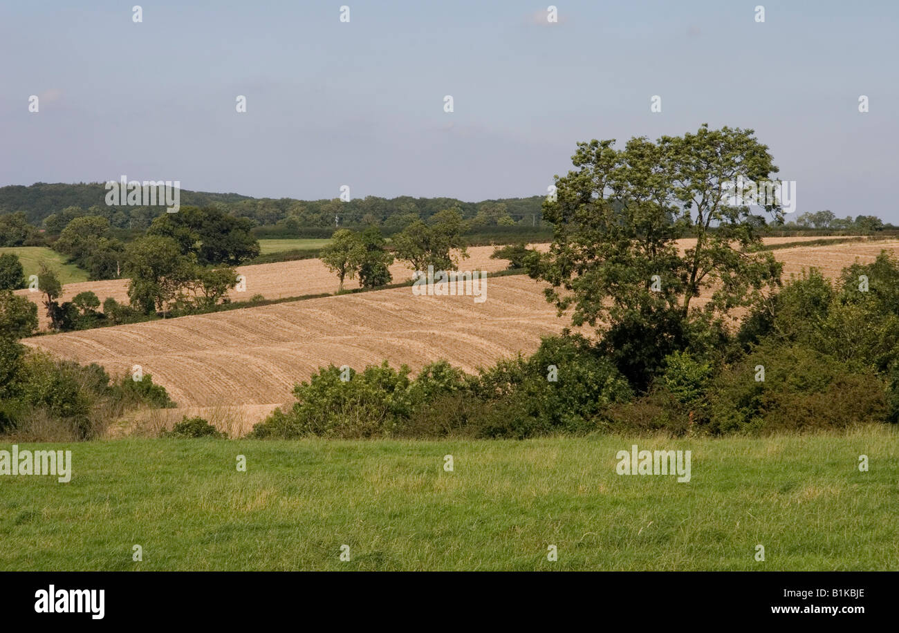 La Valle di Belvoir Foto Stock