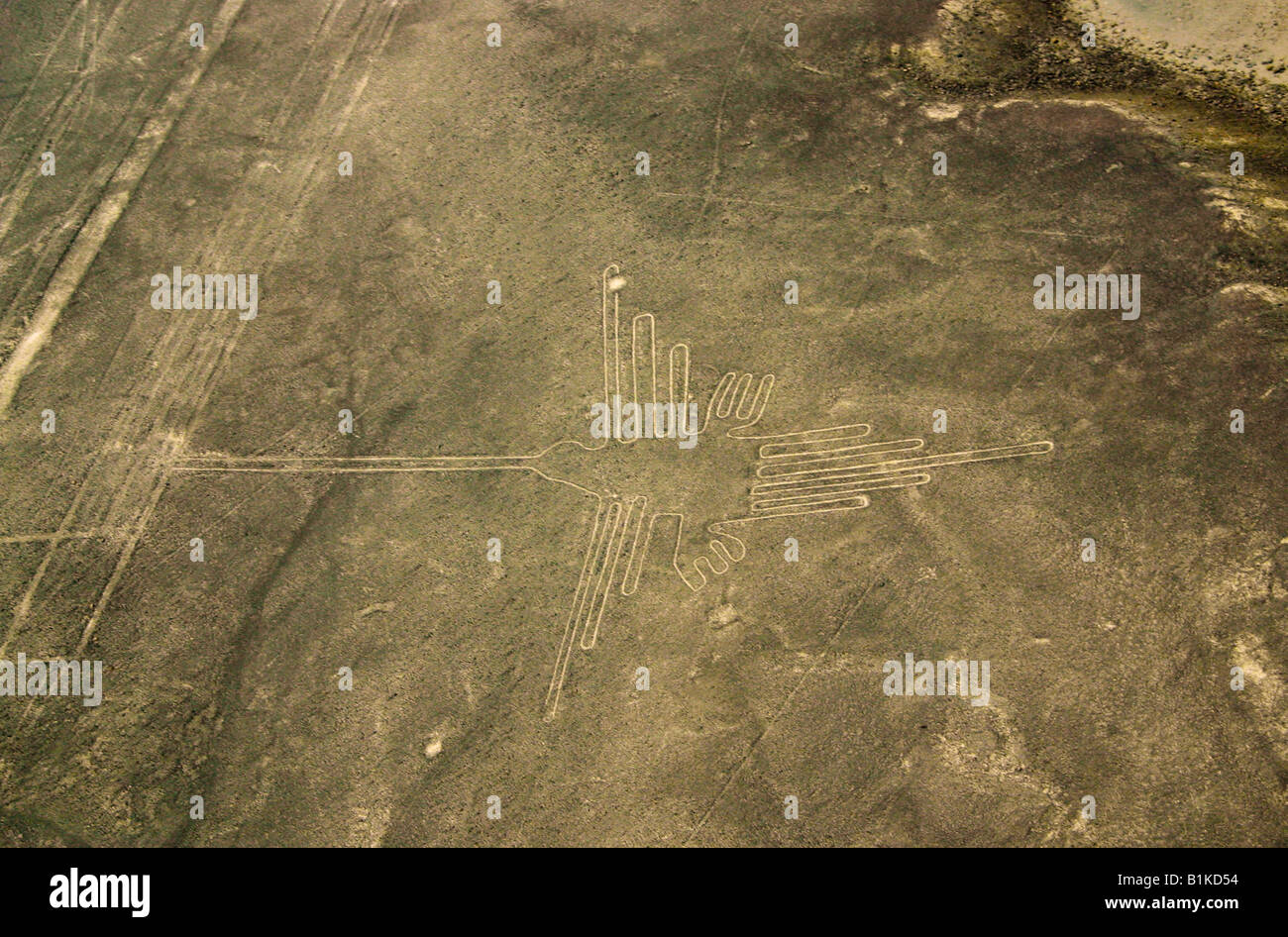 Nazca Iines geoglyph - colibrì (colibri) Perù Sud America Foto Stock