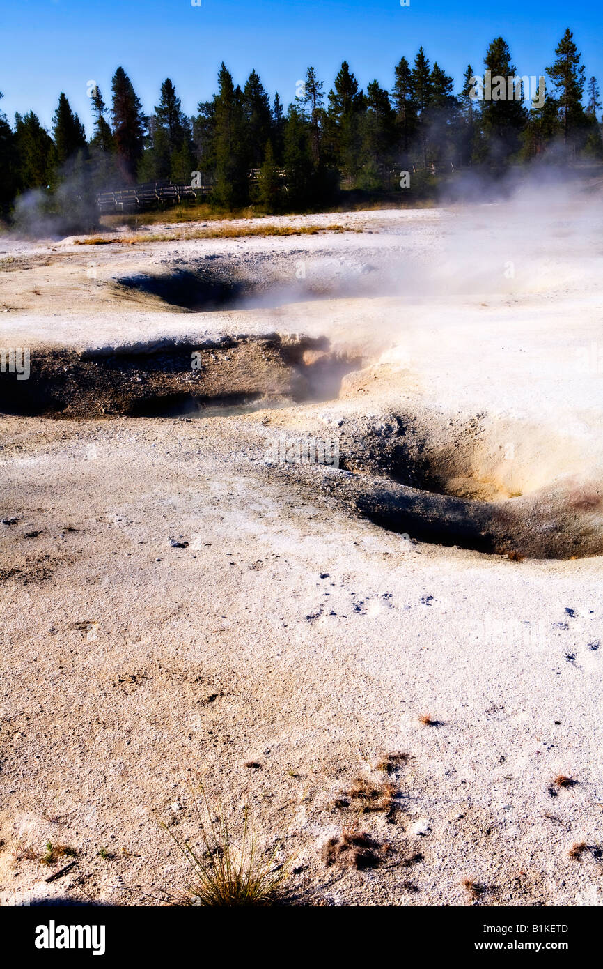 Immagine che si affacciava su una serie di fumarole per la cottura a vapore nel West Thumb Geyser Basin nel Parco Nazionale di Yellowstone Foto Stock