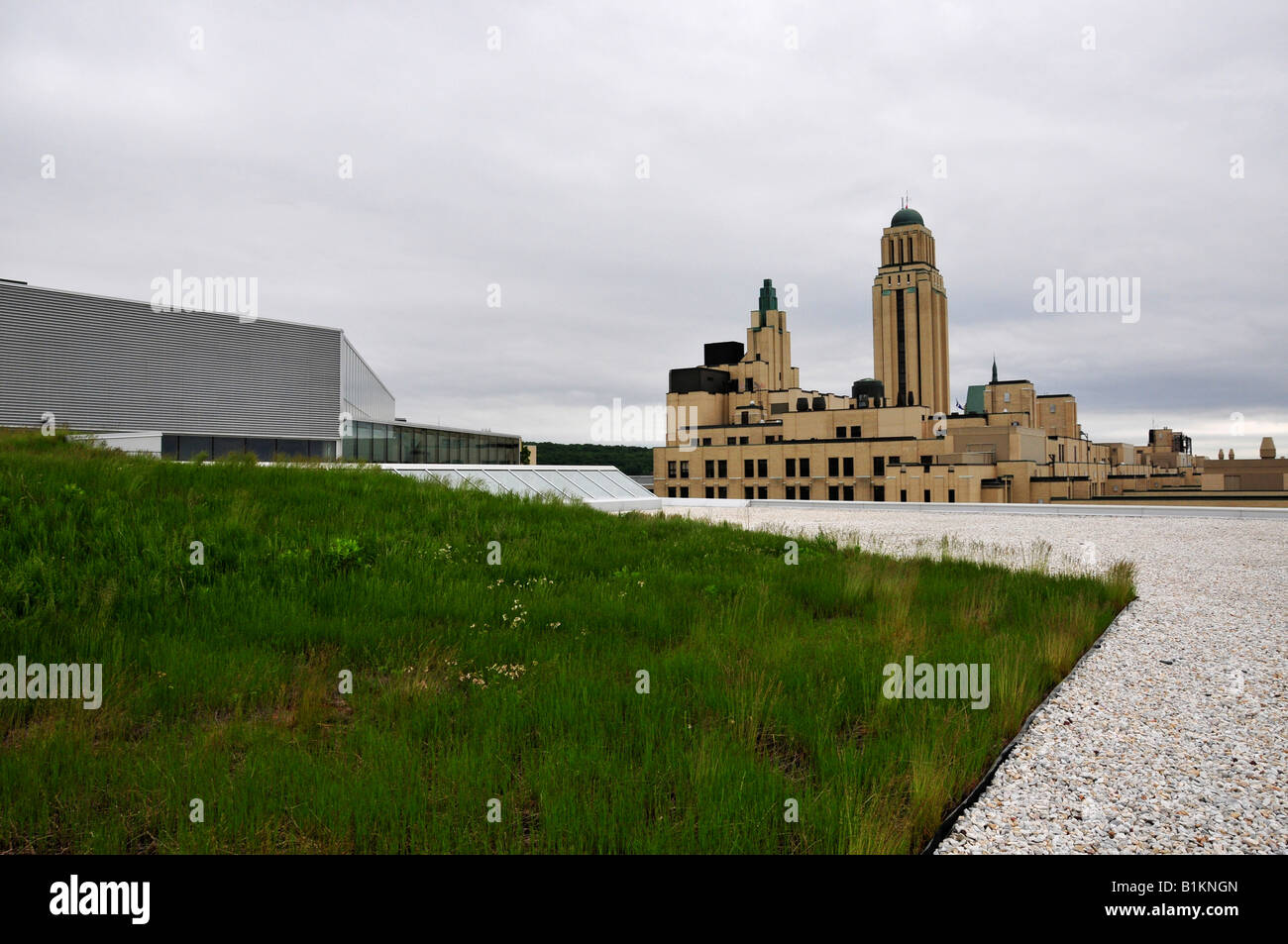 Polytechnique University di Montreal ecologico verde tetto Foto Stock