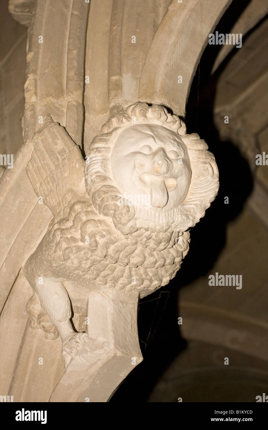 Gargoyle in forma di leone appiccicamento è la lingua di fuori. Chichester Cathedral, Sussex, England, Regno Unito Foto Stock