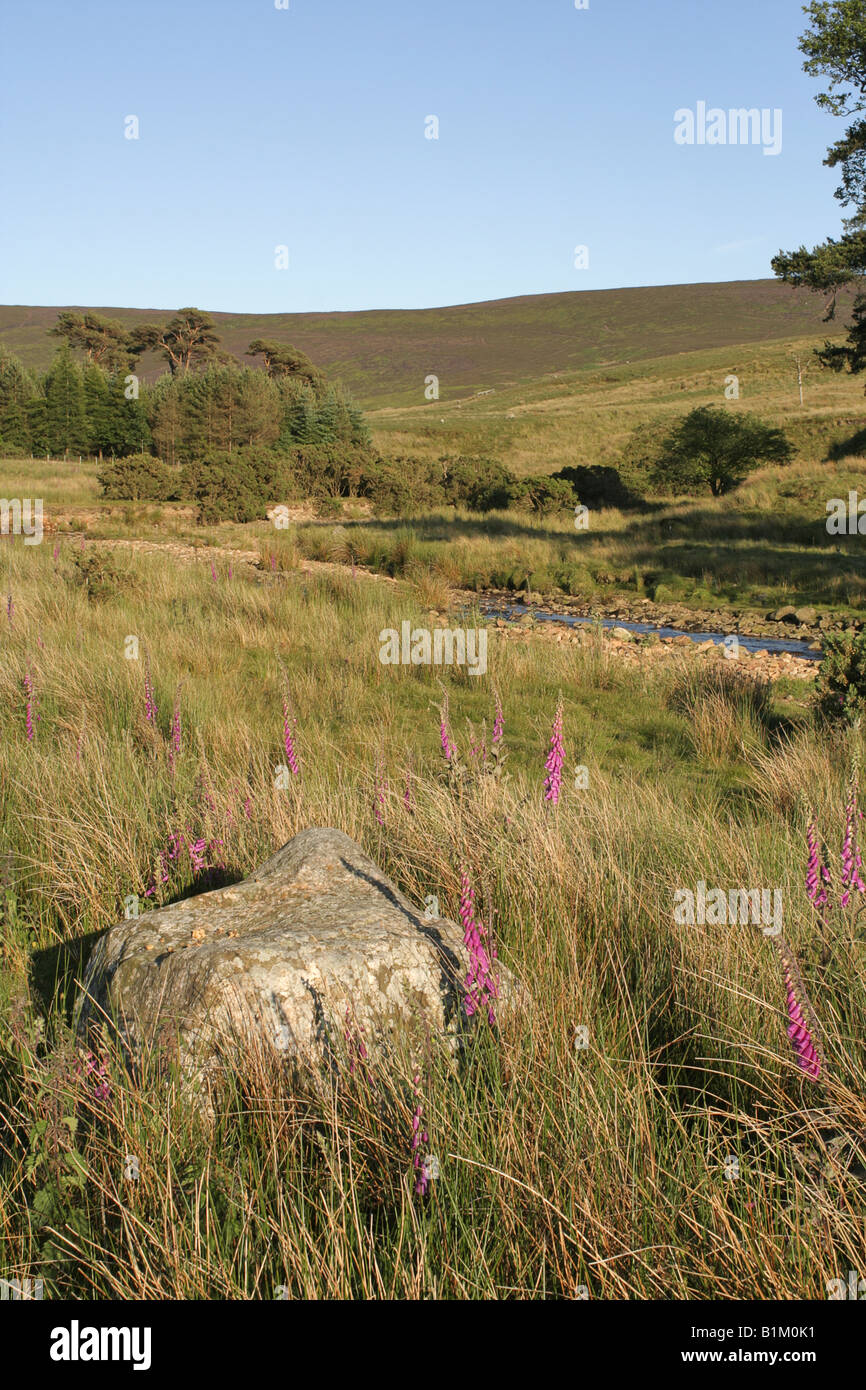 Rock a Marshaw accanto al fiume Wyre Foto Stock