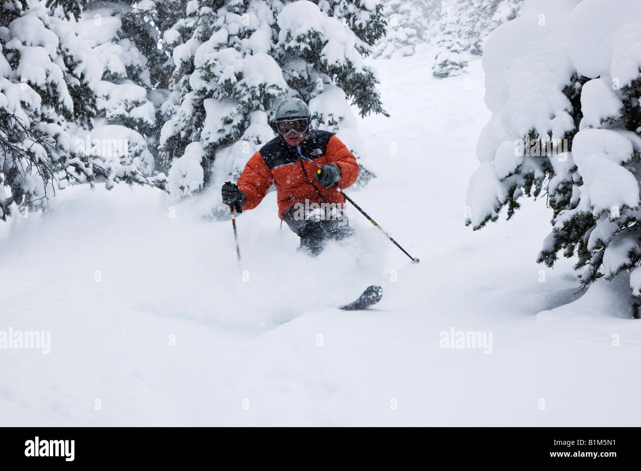 Età media di sci maschile di polvere fresca neve in montagna Monarch Foto Stock
