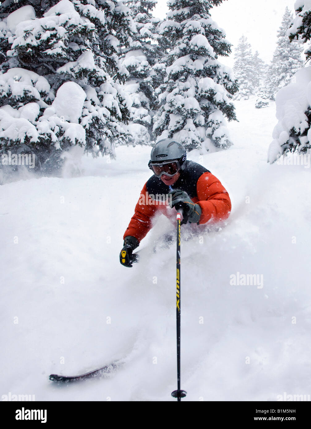 Età media di sci maschile di polvere fresca neve in montagna Monarch, Colorado, STATI UNITI D'AMERICA Foto Stock