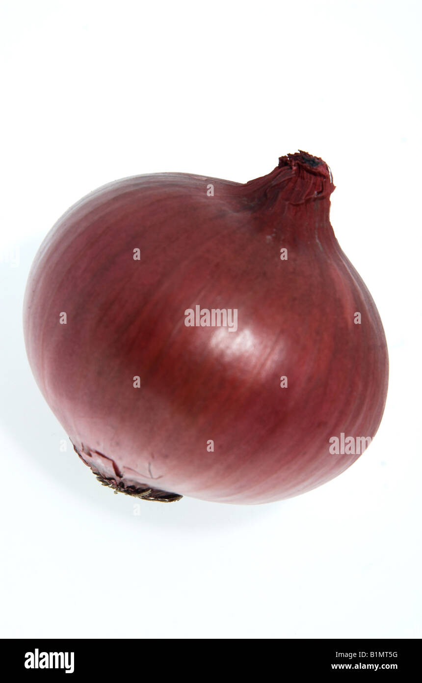 Ancora la vita di cipolla rossa Foto Stock