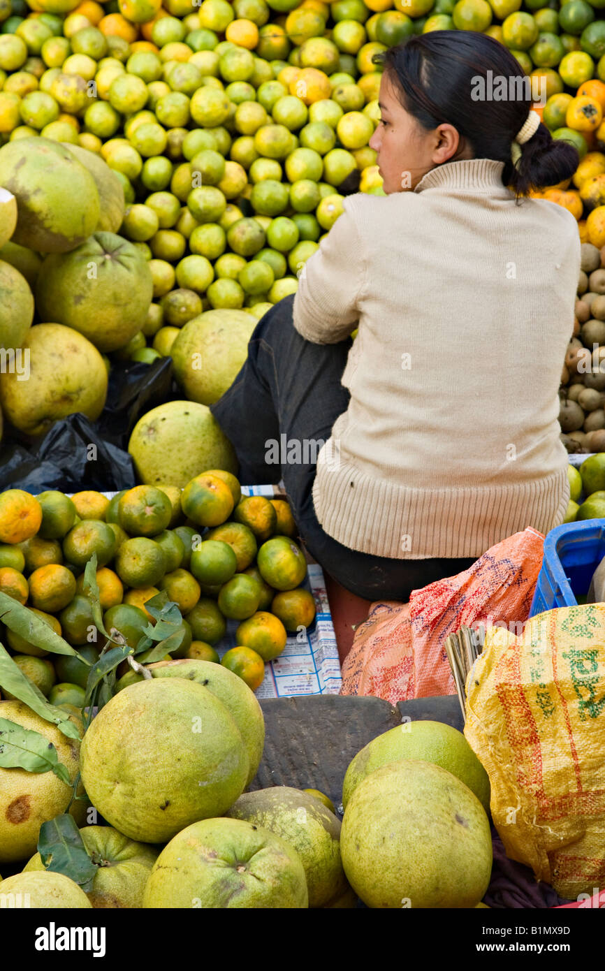 Ragazza vendita di agrumi, Kathmandu, Nepal Foto Stock