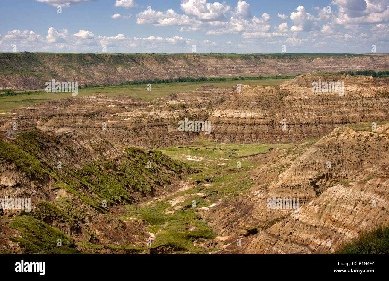 Alberta Badlands Foto Stock