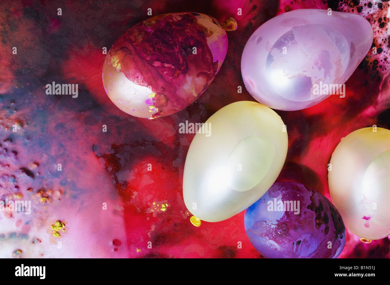 Close-up di quattro bombe di acqua sulla vernice in polvere Foto Stock
