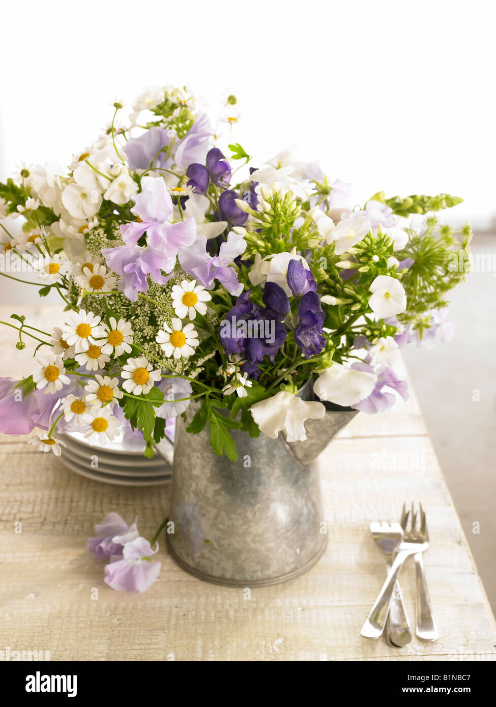 Bouquet di pisello dolce, camomilla, aconitum e phlox Foto Stock