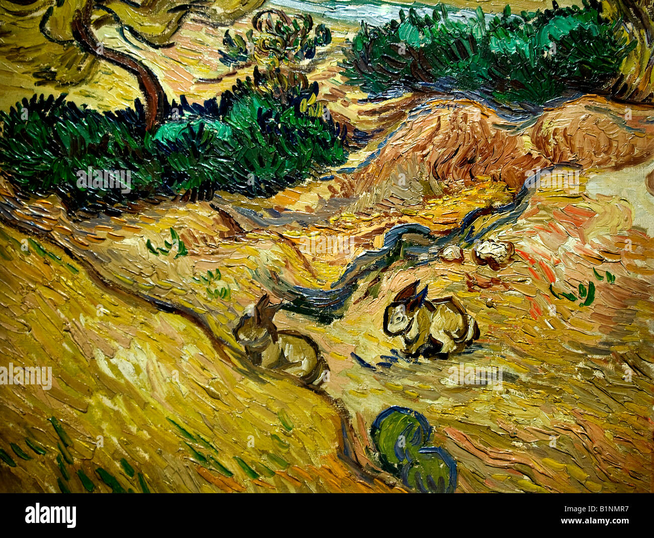 Vincent van Gogh 1853 1890 paesaggi con conigli 1889 Paesi Bassi Olanda olandese Foto Stock