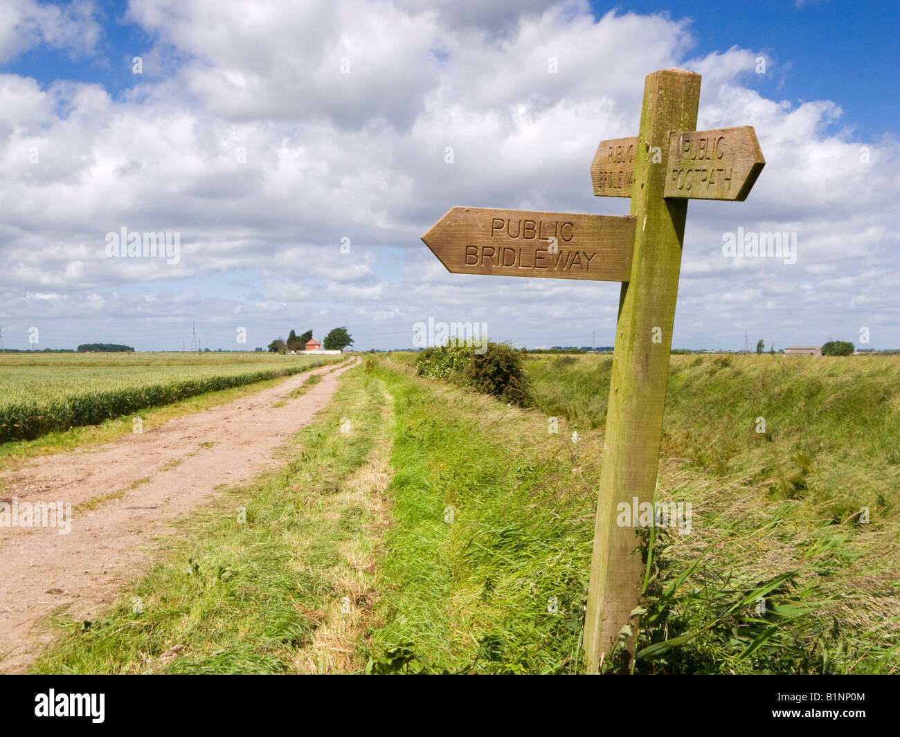 Cartello in legno che indica la direzione di sentieri pubblici e bridleways, East Yorkshire, Inghilterra, Regno Unito Foto Stock