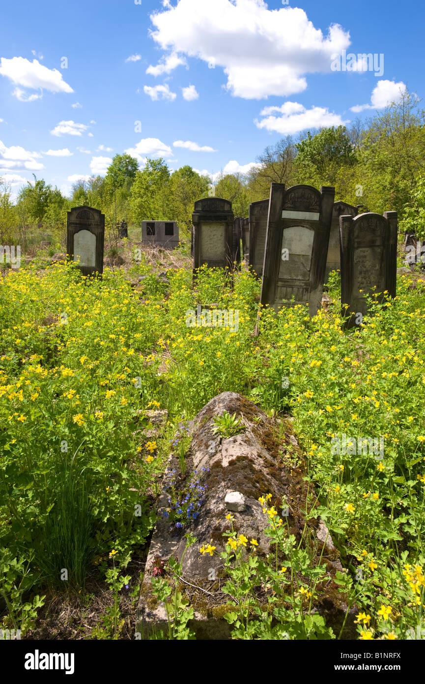 Il cimitero ebraico di Lodz in Polonia Foto Stock