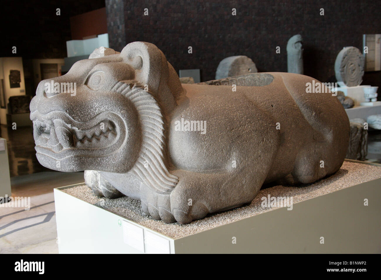 Jaguar o Ocelotl Cuauhxicalli, Museo Nazionale di Antropologia e il parco Chapultepec, Città del Messico, Messico Foto Stock