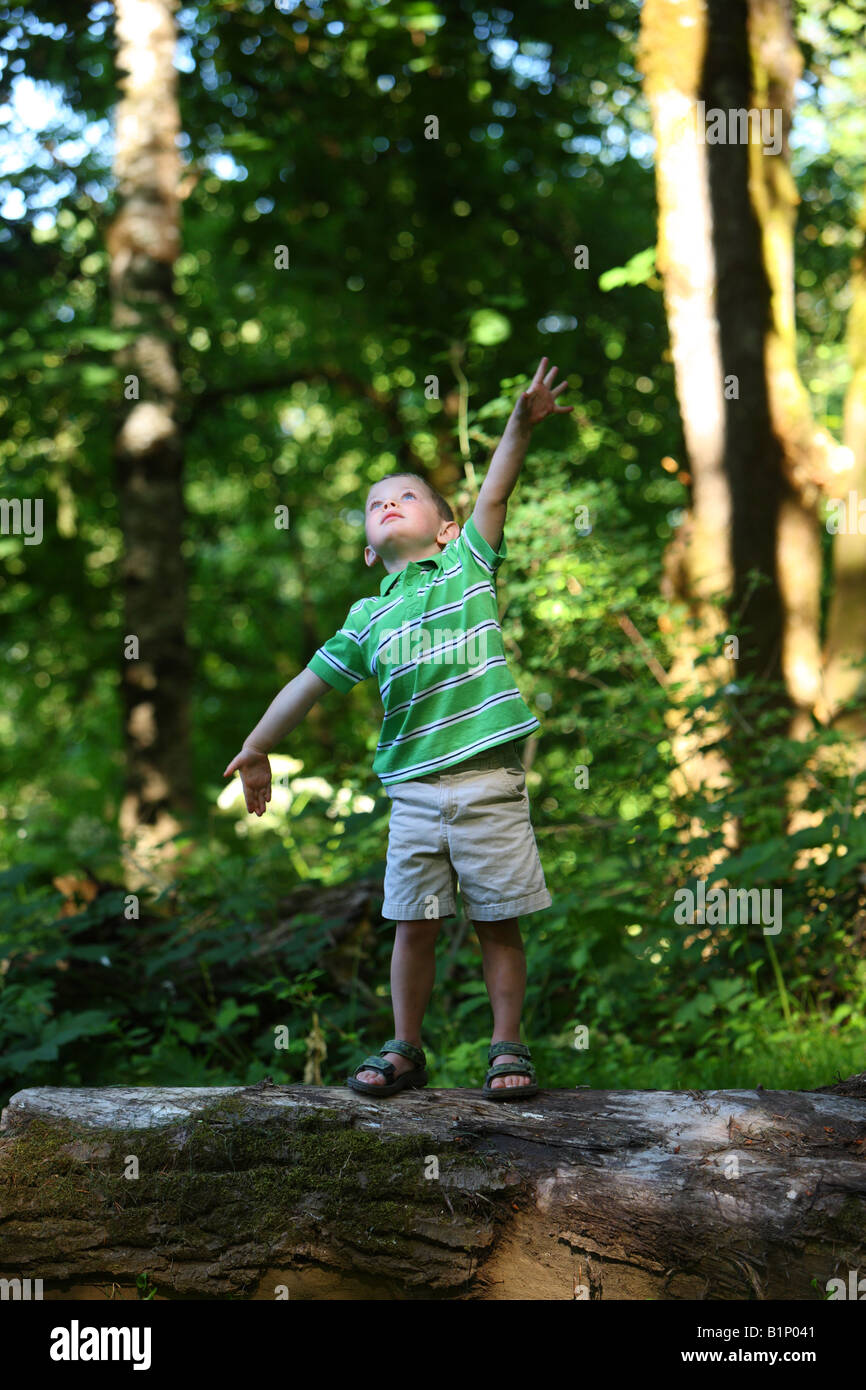 Giovane ragazzo in piedi su un log in foresta guardando in alto con le braccia Foto Stock