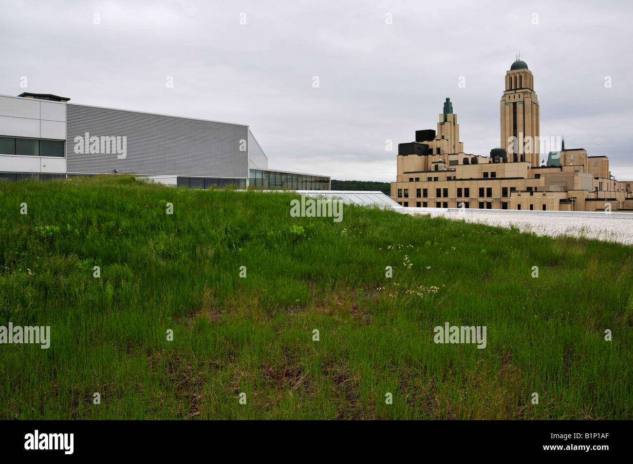 Tetto verde del Polytechnique university Montreal Foto Stock
