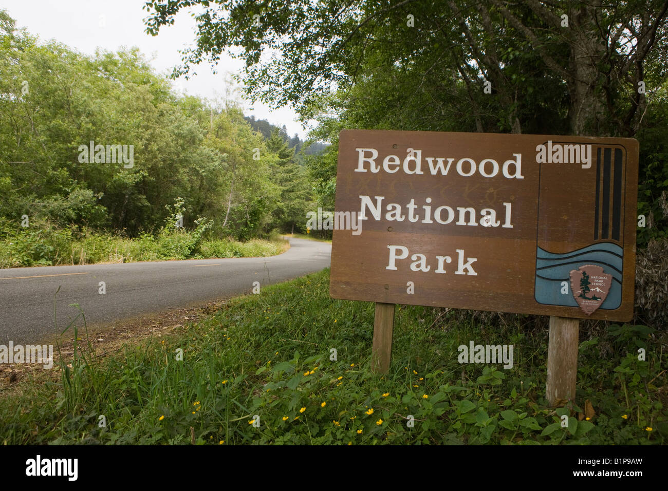 Parco nazionale di servizio in segno di benvenuto al Parco Nazionale di Redwood in California, Stati Uniti d'America. Foto Stock