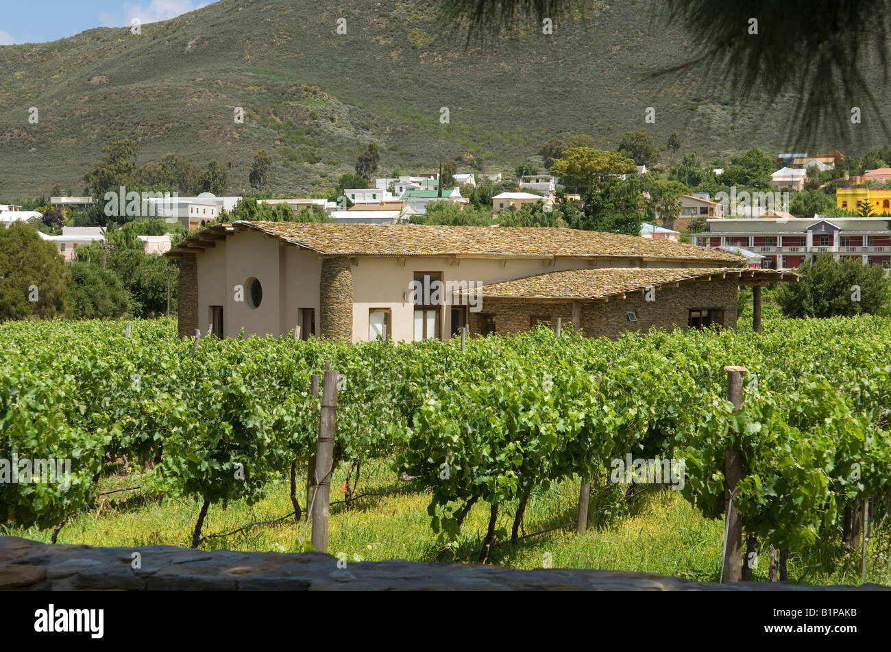 Cob casa in vigna Barrydale, Sud Africa in Klein Karoo, Western Cape Foto Stock
