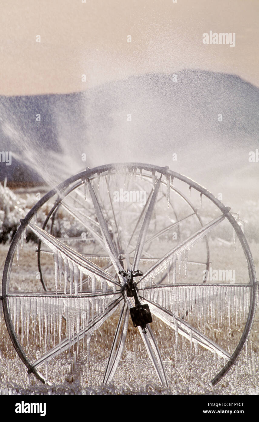 Apparato di irrigazione rappresenta il segno di una notte fredda come è ricoperto di ghiaccio nelle prime ore del mattino in Idaho high country Foto Stock