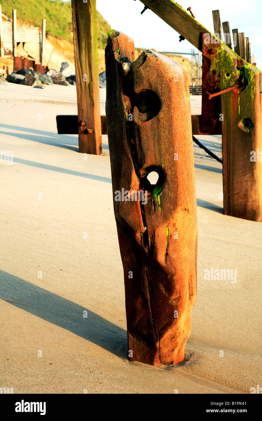 Struttura di frangionde vecchio post a Happisburgh, Norfolk, Regno Unito. Foto Stock