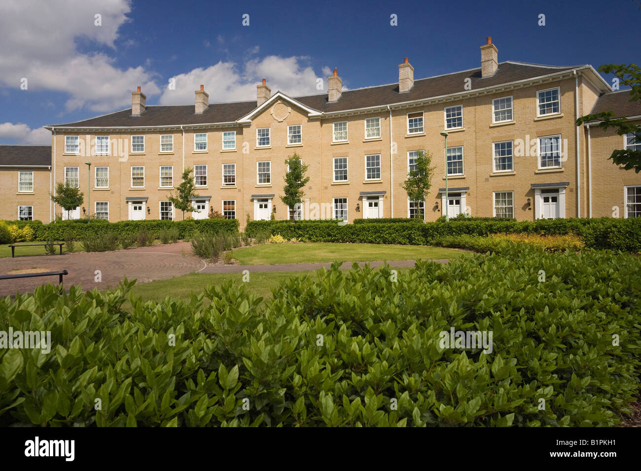 Nuova sistemazione di case a schiera in Daisy Avenue a Bury St Edmunds, Suffolk, Regno Unito Foto Stock