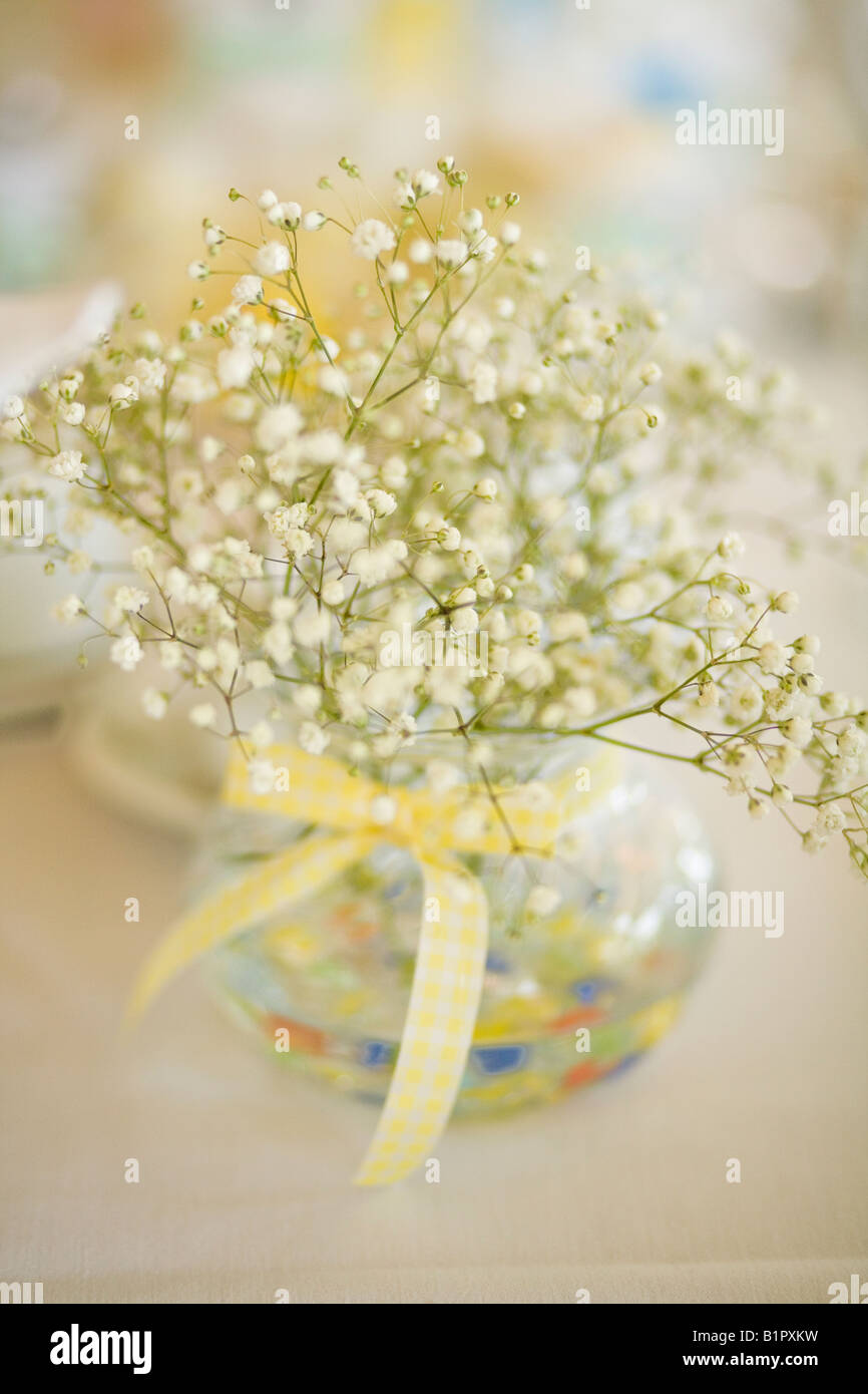 Baby's respiro, Gypsophila, close-up. Foto Stock