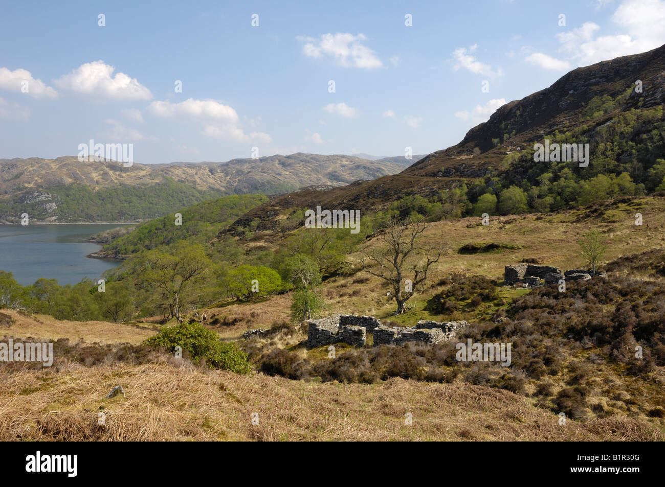 Il vecchio insediamento abandonded sopra Loch Moidart, a Ardnamurchan Penisular, altopiani, Scozia Foto Stock